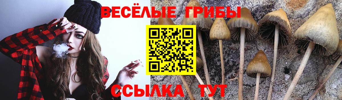 Галлюциногенные грибы прущие грибы  где найти   Иркутск  Вход с VPN 